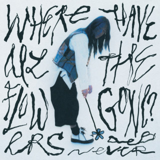 Deb Never - Where Have All The Flowers Gone? EP cover