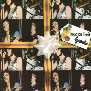Geordie - Hope You Like It album cover