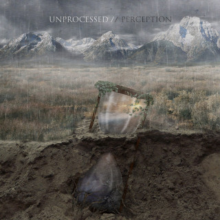 Unprocessed - Perception EP cover