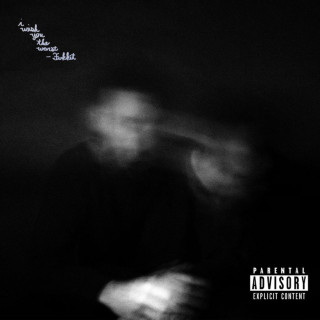 Fukkit - I Wish You The Worst album cover