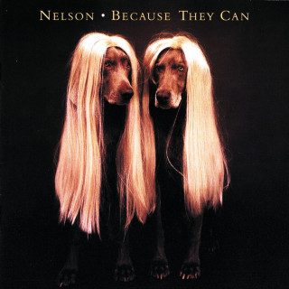 Nelson - Because They Can album cover
