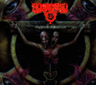 Hypocrisy - Osculum Obscenum album cover