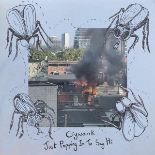 Crywank - Just Popping In To Say Hi album cover