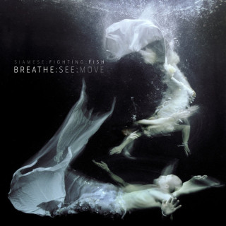 Siamese - Breathe:See:Move album cover
