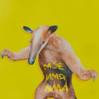LIDA - МОЕ ИМЯ ЛИДА album cover