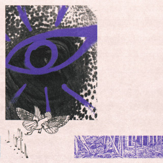 Hippo Campus - LP3 album cover