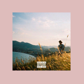 044 ROSE - Люблю album cover