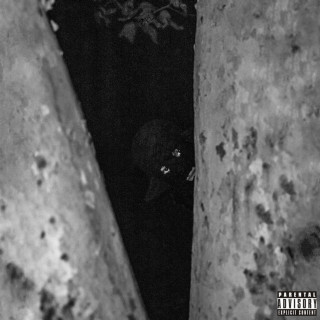 D Savage - BPL album cover