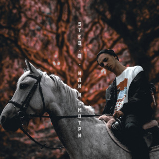 STED.D & Pyrokinesis - Иди и смотри album cover