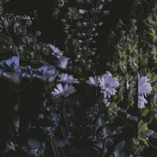 Montell Fish - It's Beautiful. album cover