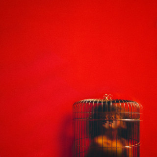 Eryn Allen Kane - Aviary: Act II EP cover