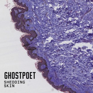 Ghostpoet - Shedding Skin album cover