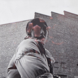 Aldous Harding - Warm Chris album cover