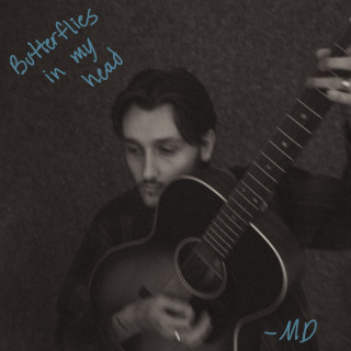 Mark Diamond - Butterflies In My Head album cover