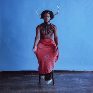 Shamir - Heterosexuality album cover