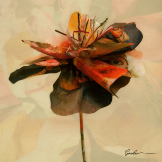 PENOMECO - Garden EP cover