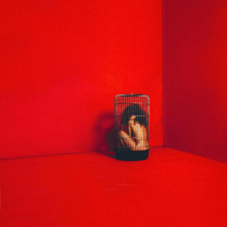 Eryn Allen Kane - Aviary: Act 1 EP cover