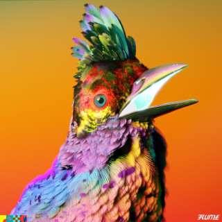 Flume - Palaces album cover
