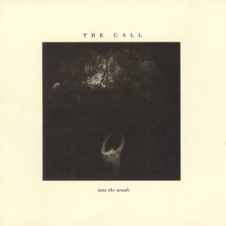 The Call - Into The Woods album cover