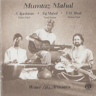 N. Ravikiran, Taj Mahal & Vishna Mohan Bhatt - Mumtaz Mahal album cover