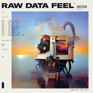 Everything Everything - Raw Data Feel album cover