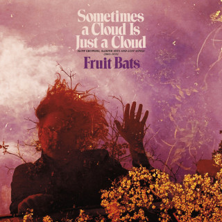 Fruit Bats - Sometimes a Cloud Is Just a Cloud: Slow Growers, Sleeper Hits and Lost Songs (2001–2021) compilation cover
