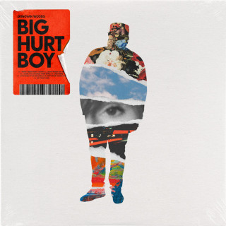 Donovan Woods & Ralph - Big Hurt Boy EP cover