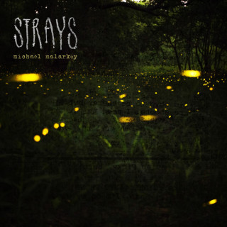 Michael Malarkey - Strays EP cover