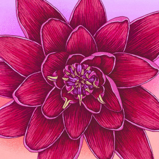 slchld - blood lotus diary EP cover