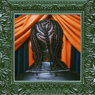 Big K.R.I.T. - Digital Roses Don't Die album cover