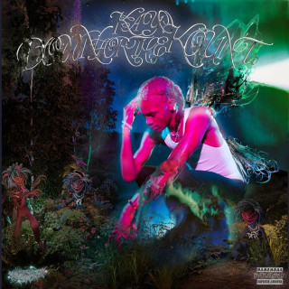 Yung Kayo - DFTK album cover
