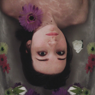 Flower Face - Fever Dreams album cover