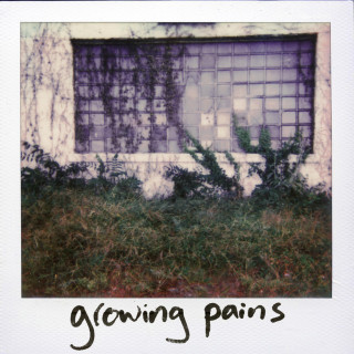 dandelion hands - Growing Pains album cover