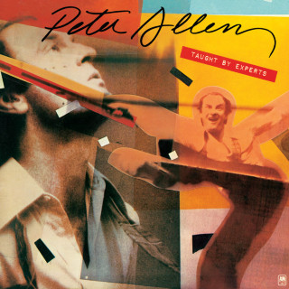 Peter Allen - Taught By Experts album cover
