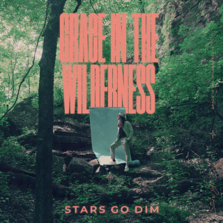 Stars Go Dim - Grace In The Wilderness album cover