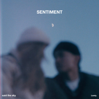 Said The Sky, ILLENIUM & Chelsea Cutler - Sentiment album cover