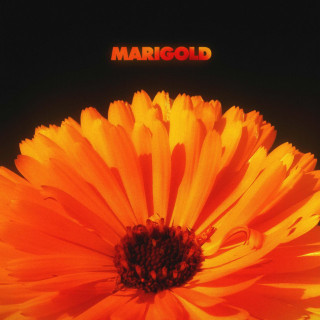 Alex Isley & Jack Dine - Marigold album cover