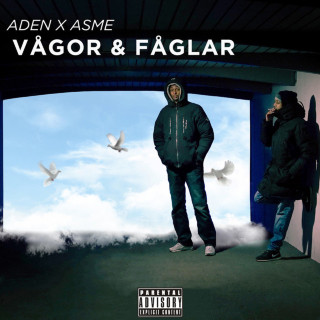 Asme - Vågor & Fåglar EP cover