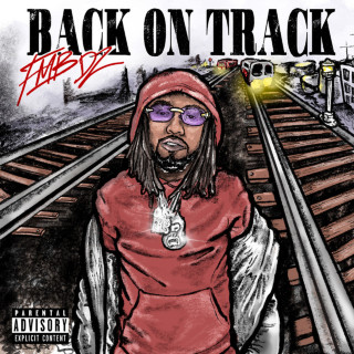 FMB DZ - Back On Track album cover
