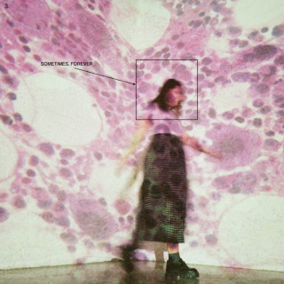 Soccer Mommy - Sometimes, Forever album cover