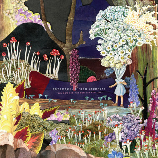 Psychedelic Porn Crumpets - And Now For The Whatchamacallit album cover