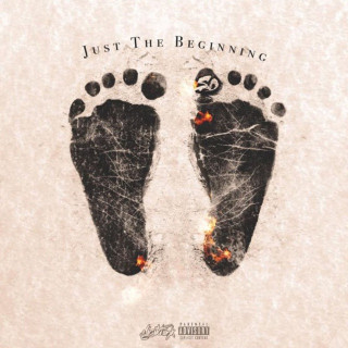 SD - Just The Beginning album cover