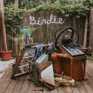 Slaughter Beach, Dog - Birdie album cover
