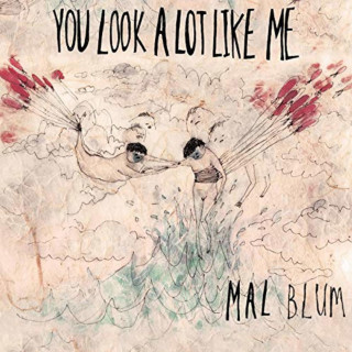 Mal Blum - You Look A Lot Like Me album cover