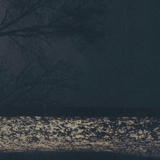 Fog Lake - Virgo Indigo album cover