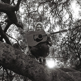 Ty Segall - Hello, Hi album cover