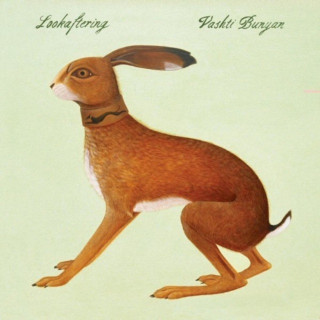 Vashti Bunyan - Lookaftering album cover