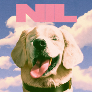 The Dirty Nil - Fuck Art album cover