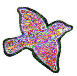 Widespread Panic - 'Til The Medicine Takes album cover