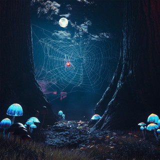 OmenXIII - Project: Webweaver album cover